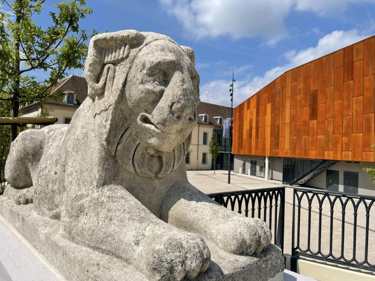 "Cosyterroir" Appartement Dijon 51M2 - Cite De La Gastronomie Et Du Vin - Arquebuse-Gare - Commodites A 2 Pas Exterior foto